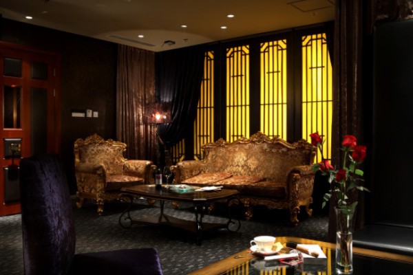 成都爬山喝茶带宠物，发现城市绿色养生秘境(成都山上喝茶的地方)